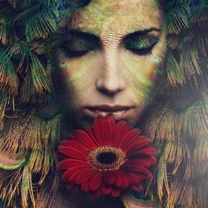 Meet your Posher, Jacqueline